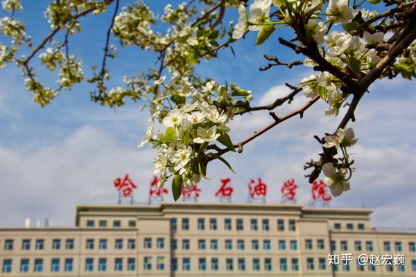 你是否注意到哈尔滨石油学院的美
