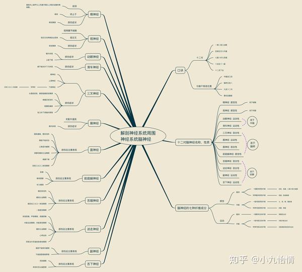 系统解剖学思维导图15神经系统-周围神经系统-脑神经