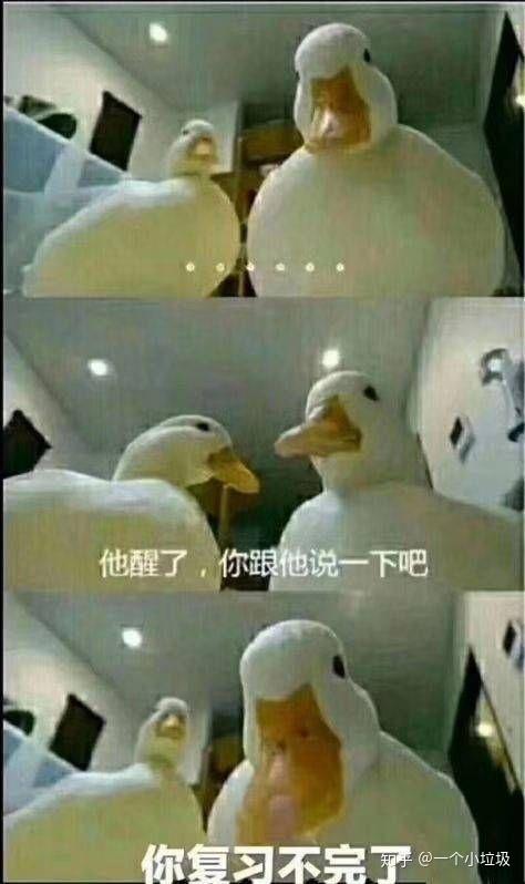求医学生,学医狗的表情包?