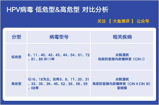 种类高达几十种,根据病毒的大小和危险性分为高危型hpv和低危型hpv(图