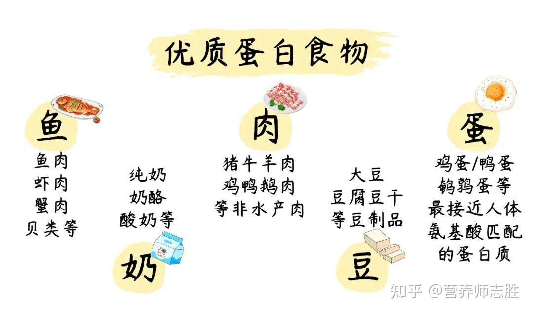 吃够优质蛋白为健康保驾护航