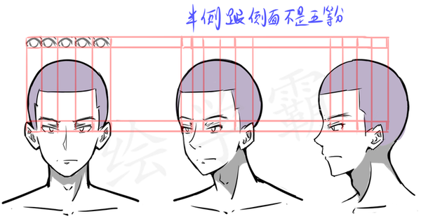 关于人体头部的概括以及三庭五眼到底是什么