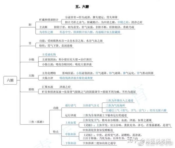 中医考研精准干货8张思维导图拿下藏象最高频考点