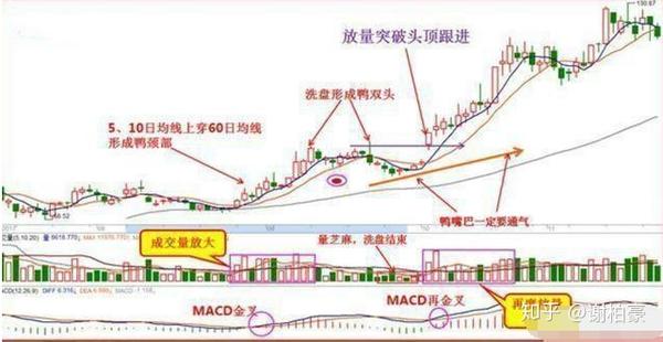 老鸭头k线战法的关键买入点,可以使用macd日线级别的零轴上金叉,做为