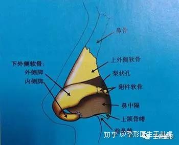 想做鼻头部分的改善,该怎么做?