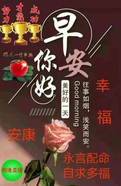 星期六,早上好!