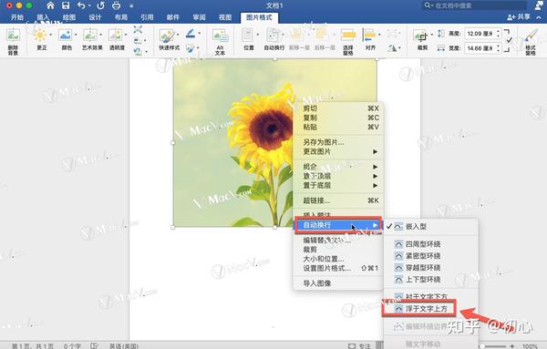 如何在word中自由移动图片?在 microsoft word 中自由