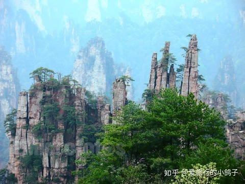 张家界天子山有四大奇观峰林云海日出冬雪