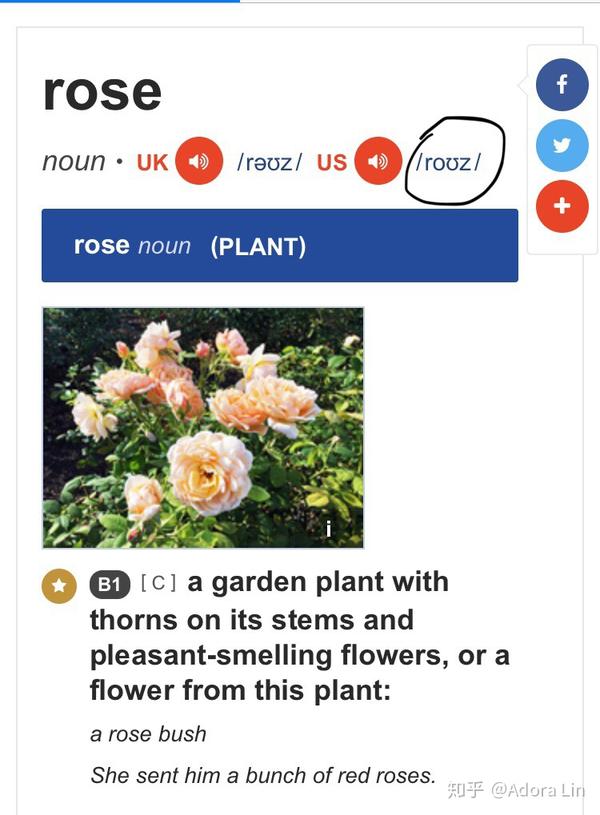 英文单词rose的正确发音是什么?