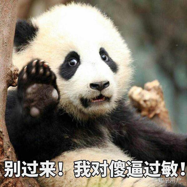 有哪些可爱的表情包?