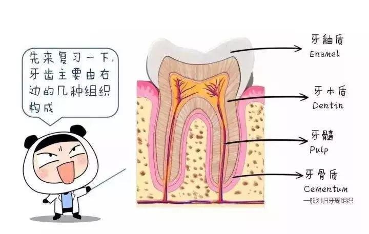 牙齿敏感是牙痛的根源