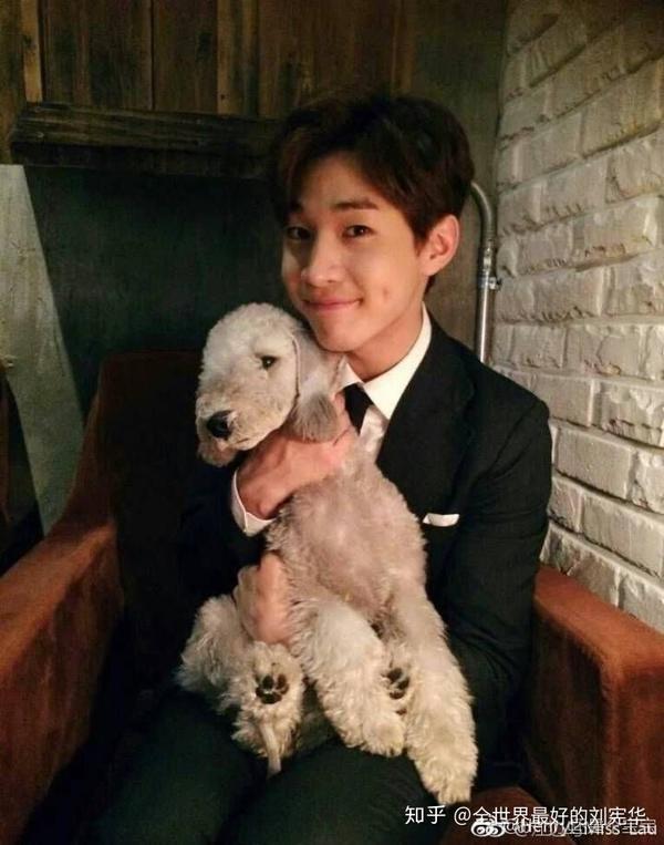weibo.cn 希望刘宪华henry的团队越来越强大,越来越多的人认识