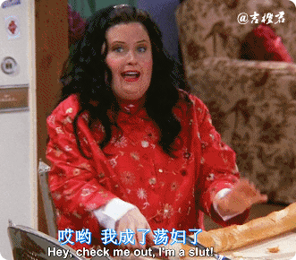 s06e13-18 | 美剧老友记《friends》第6季第13-18集表情包