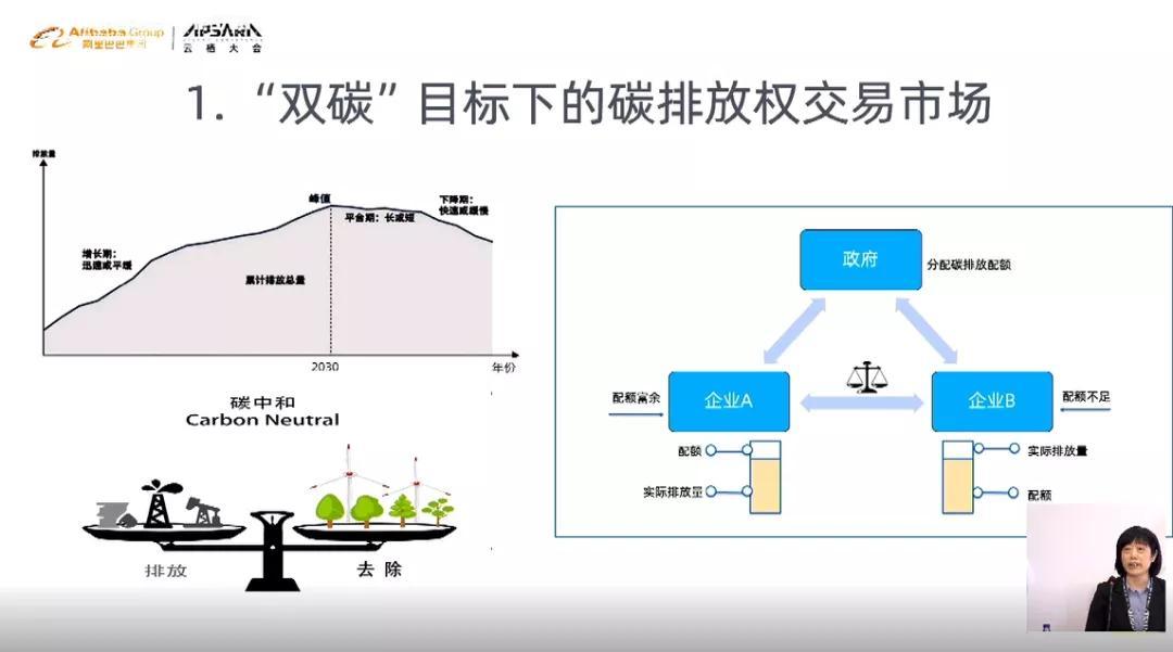 碳排放研究专家碳排放权交易是如何影响商业创新的