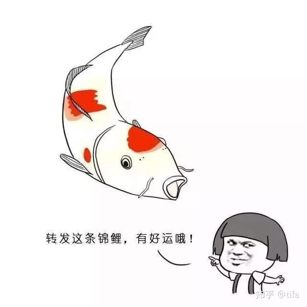 从抱佛脚到转发锦鲤,我想把你拉回正道