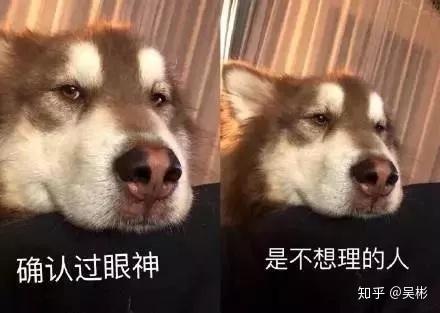 所以说,要确认过眼神,遇上对的人.