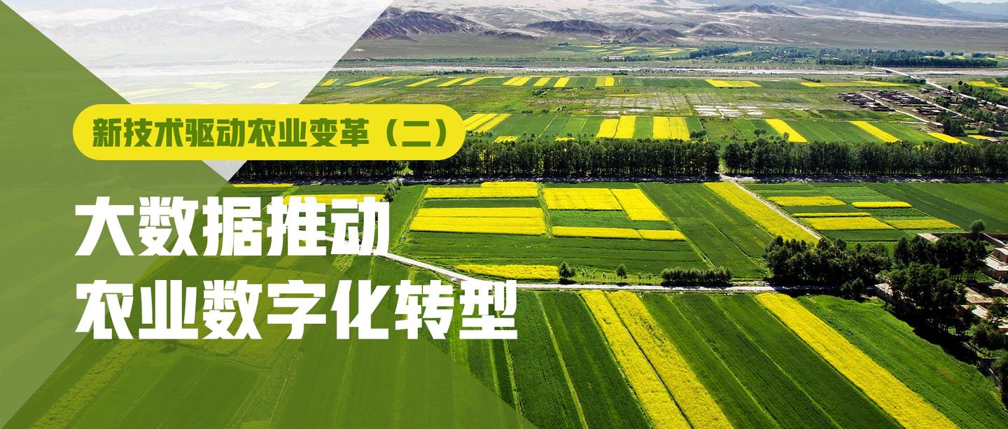 新技术驱动农业变革二大数据推动农业数字化转型