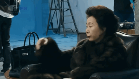 纪录片《女演员们》/2009