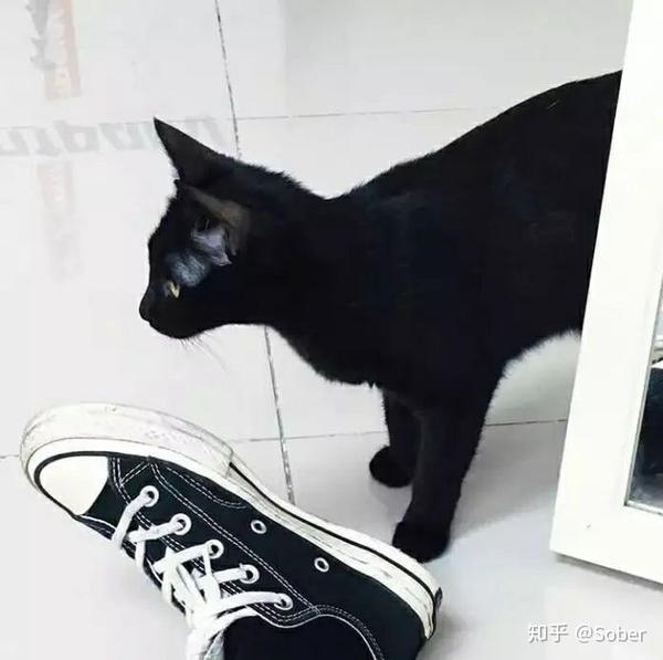有什么适合男生的微信头像?