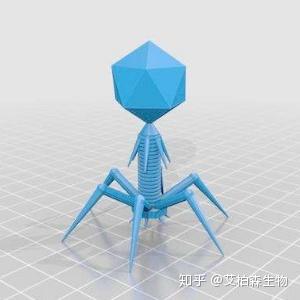 噬菌体展示技术简介
