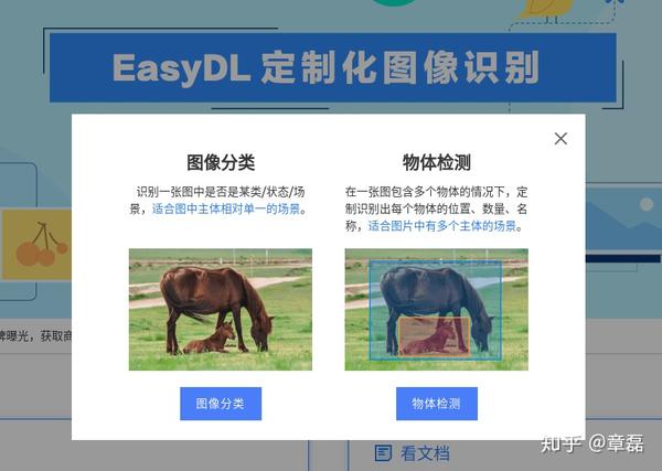 easydl定制话图像识别支持"图像分类"和"物体检测"两类常见应用