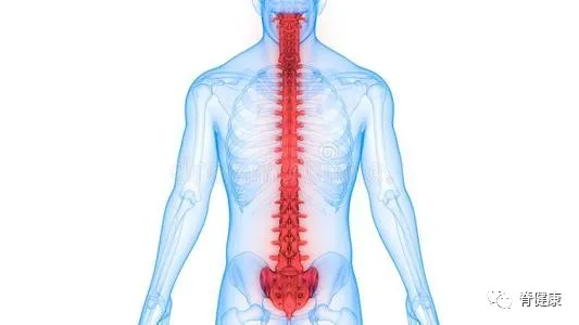 解剖角度下的腰肌劳损,从根源看待腰痛