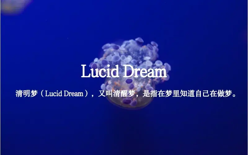 但有一种特殊的睡眠状态叫做清醒梦(lucid dream),顾名思义这是指人在