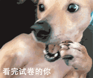 简单几招教你看透狗狗智商