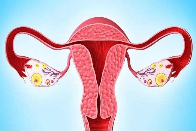 "保养卵巢,女人不老",出现这3个症状,说明卵巢早衰了!