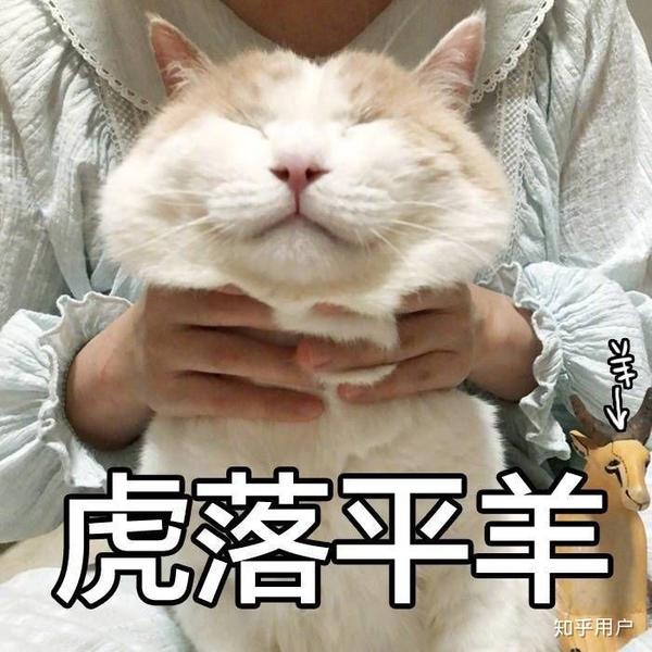 后来反应过来,拿着东西就进去了,洗完出来把窗帘拉上,心里一万句mmp
