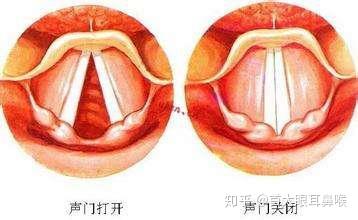 首大刘玉梅这些症状说明你的声带出问题了自查