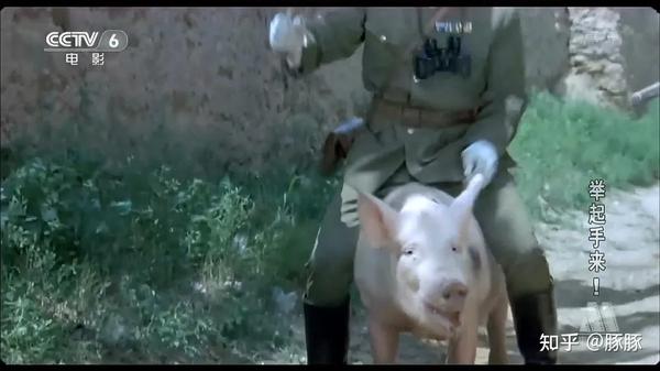 堪比喜剧老前辈潘长江参演的抗日影片《举起手来》中,日本军官骑猪的