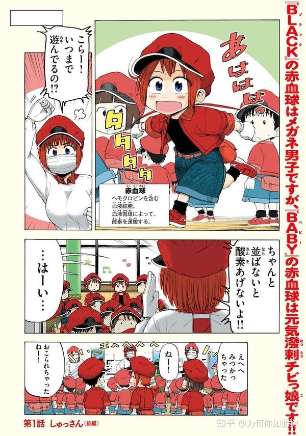 漫画《工作细胞baby》开始连载