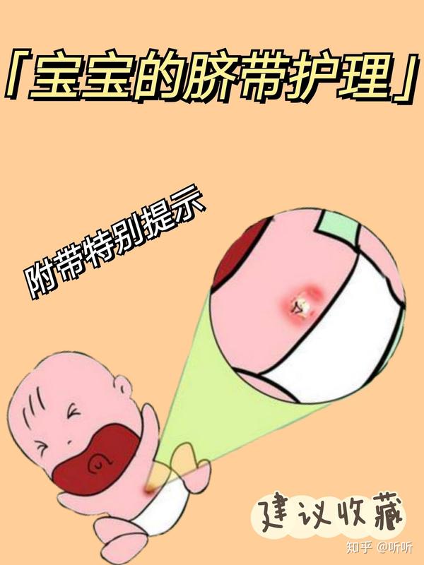宝宝一生下来,脐带就被剪断结扎了,一般詡55天脱落,也有两周左右