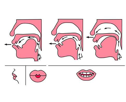后鼻音uenɡ的发音舌位图