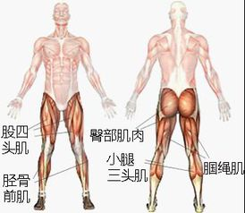 主要原因应该有三点
