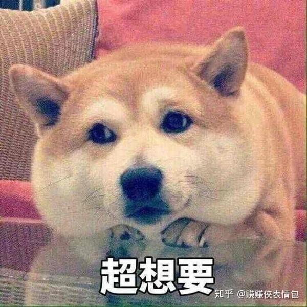 搞笑表情包图片:你看我,快看我