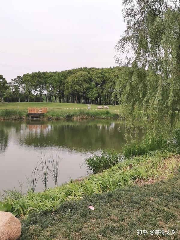 湘家荡森林公园10公里休闲跑