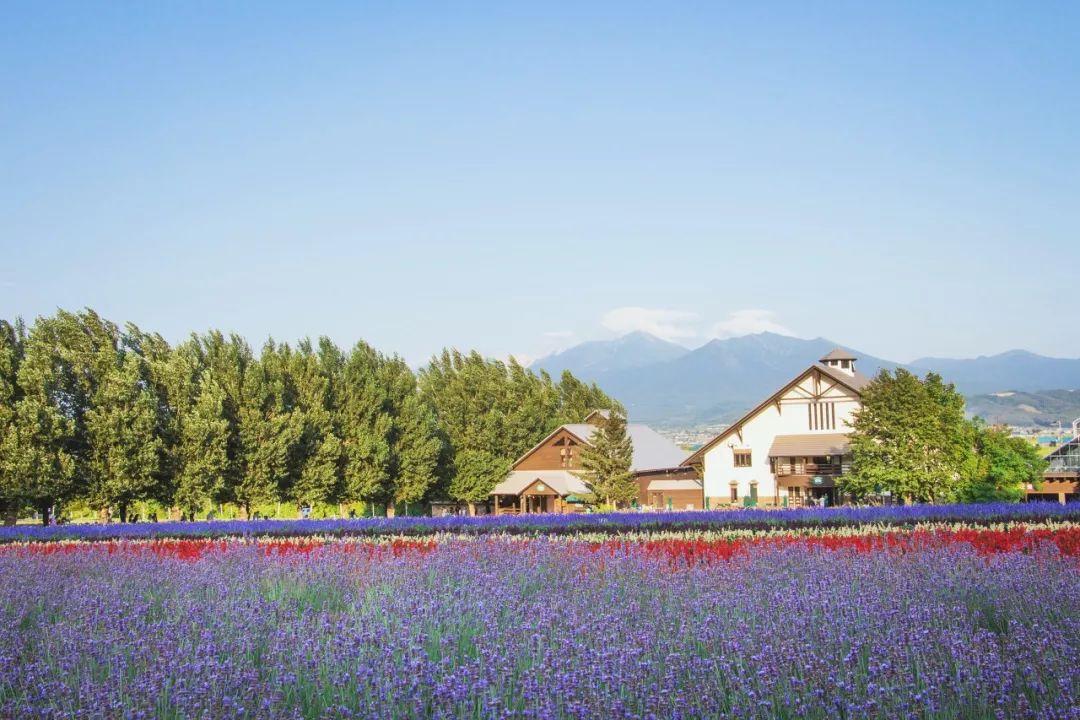 北海道花园街道的代表之一上午先经过「风之花园」day 4北海道最具