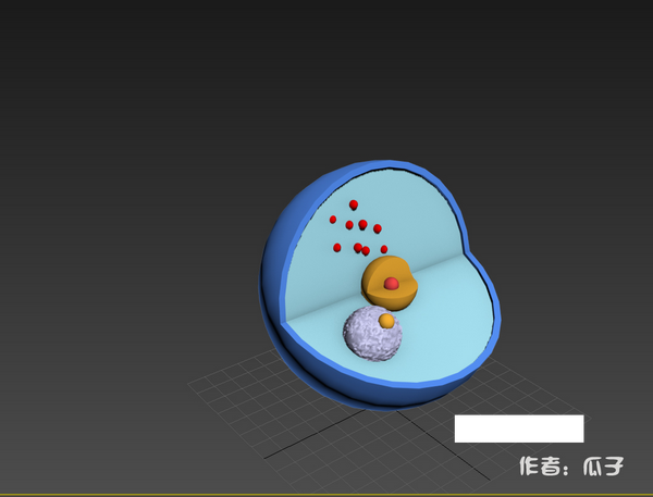 如何用3ds max构建细胞核模型