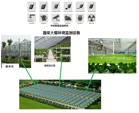 智慧农业:二氧化碳传感器在大棚蔬菜种植中的重要作用