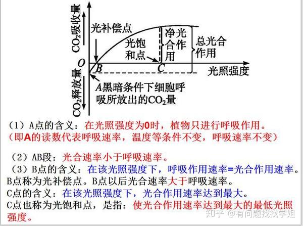 高考生物:高中生物光合作用的影响因素解析(附试题解答)
