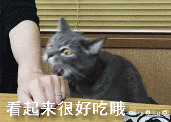 喵星人沙雕时刻的表情包