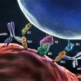 scienceimmu揭示免疫治疗失效的原因