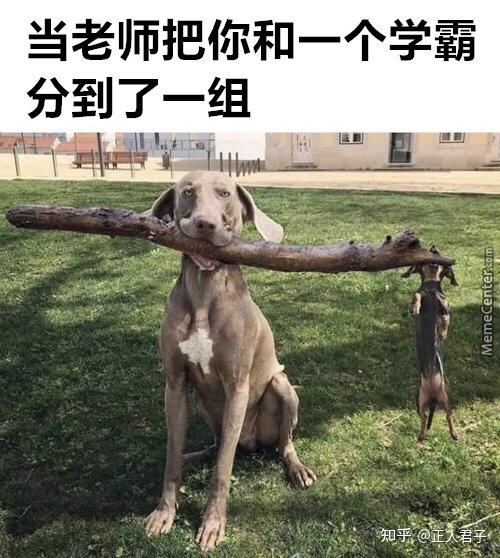 来一波搞笑的趣图~(一)
