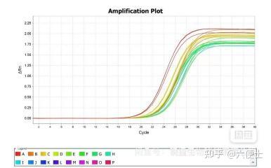 基因表达检测QPCR 知乎