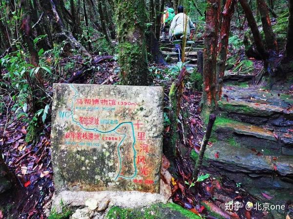 哀牢山茶马古道聆听江湖的声音