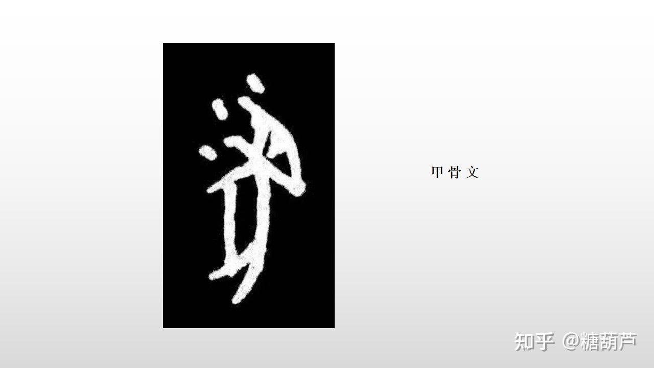 "古人在造字的时候,用几根线条画出鼠的形状,就是鼠字了.