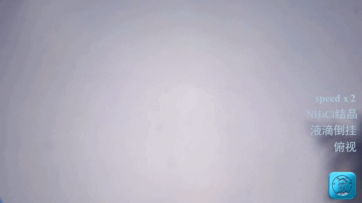 液滴较小时/也观察到快速结晶的情况