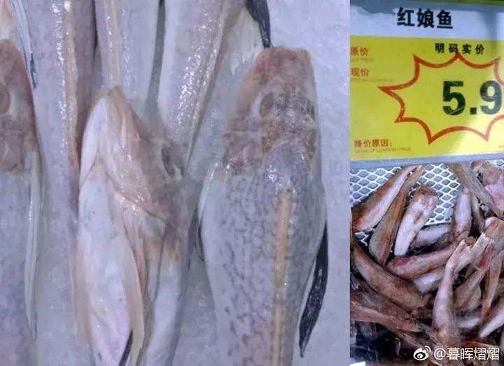 网红怪鱼你很可能吃过作者暮晖熠熠